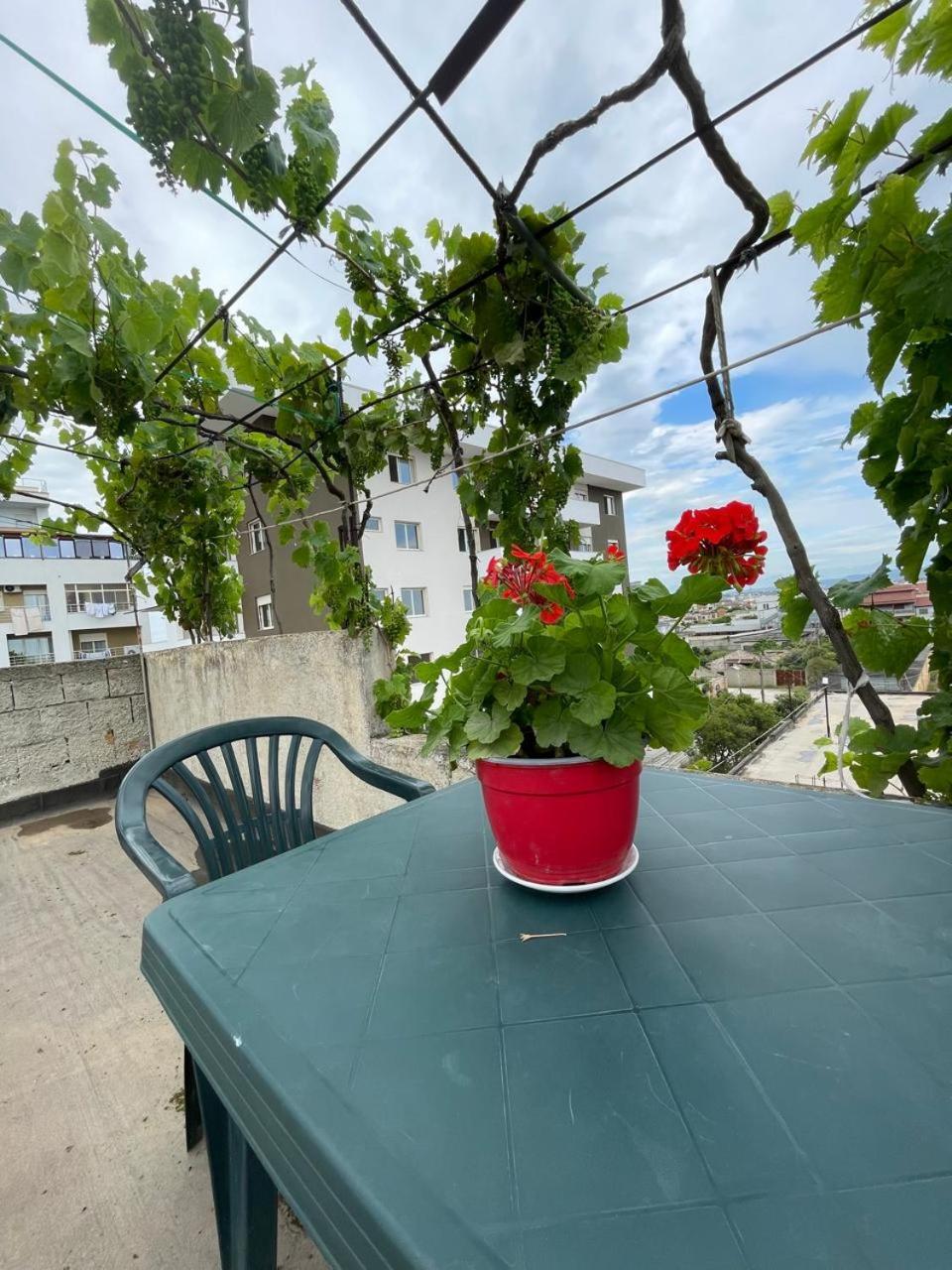 Casa Intera La Paghi Come Una Camera The Home With The Price Of A Room دراس المظهر الخارجي الصورة